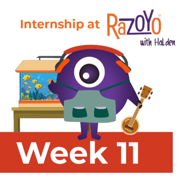 haldens-internship-week-11