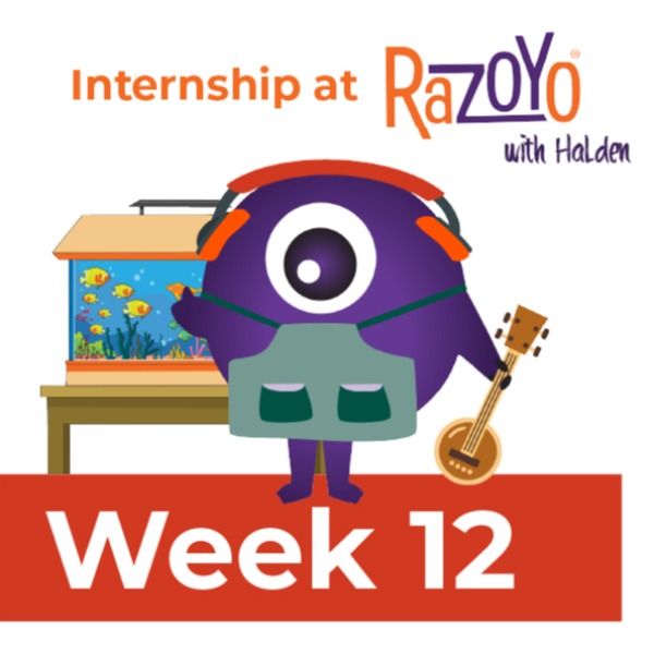 Halden's Internship Week 12