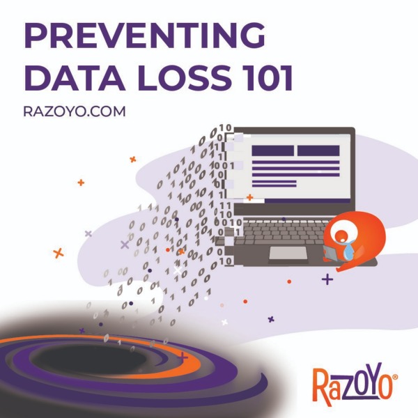 Preventing Data Loss In BigCommerce - A Shared Responsibility